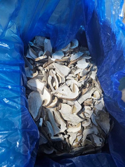 Продам сушеный алтайский белый гриб