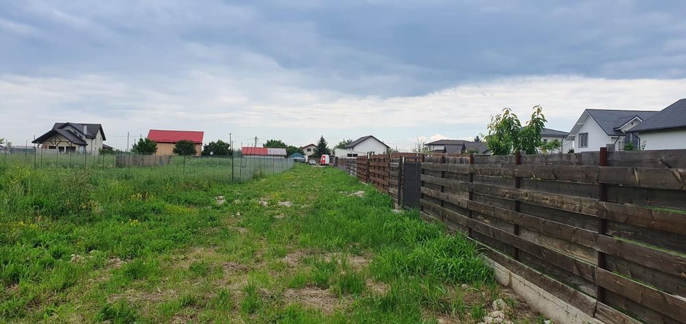 1000 mp intravilan Teren langa padure Samurcasi, Crevedia (langa Buftea)