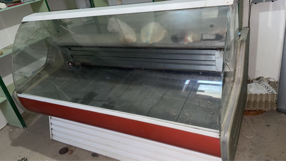 Холодельник ветреный