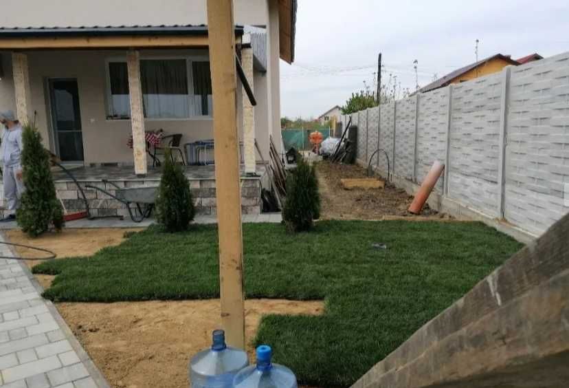 Gazon Rulou Calitate extra