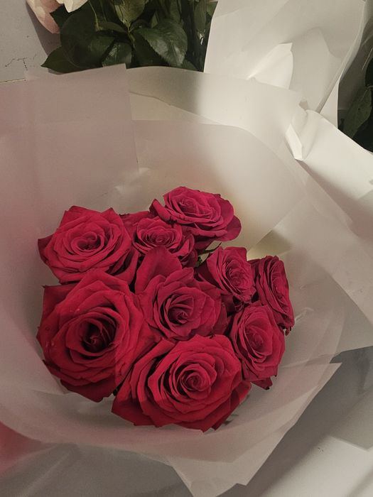 Продам цветы  свежие