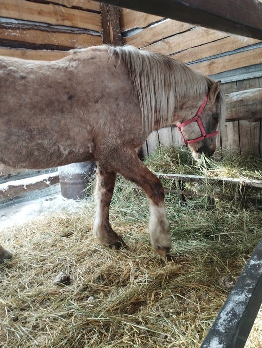 Атбасарский район