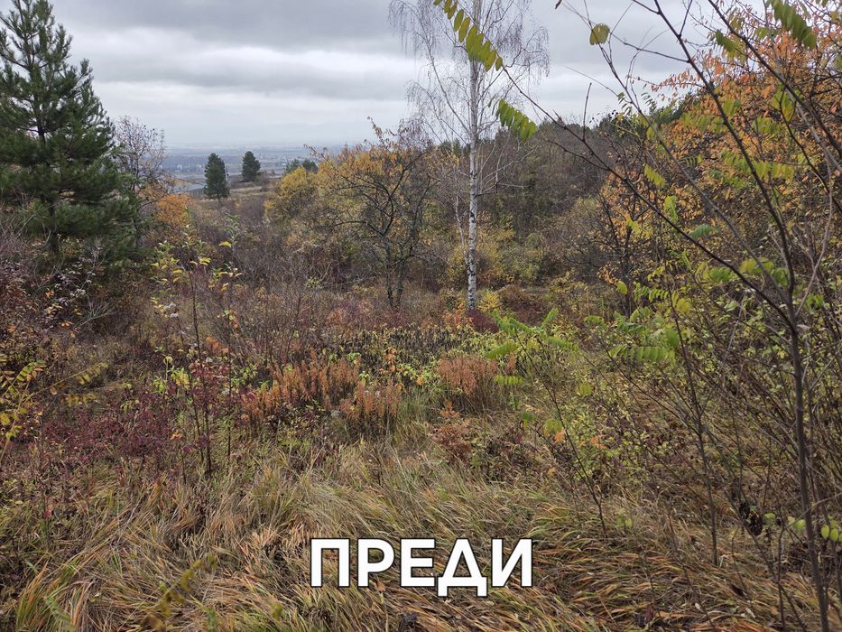 Почистване на парцели,имоти,дворове