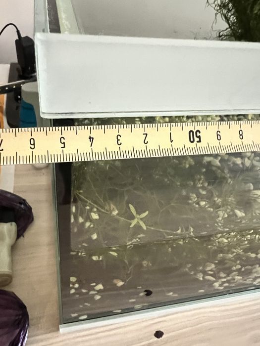 55 литров аквариум