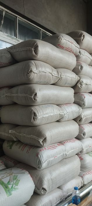 U tasodifiy otkinchilarni sorib oldi