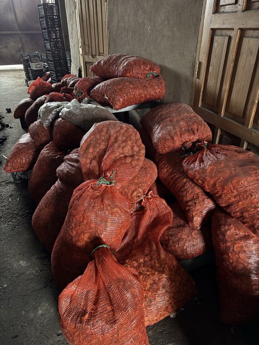 Сухофрукт яблоко абрикос