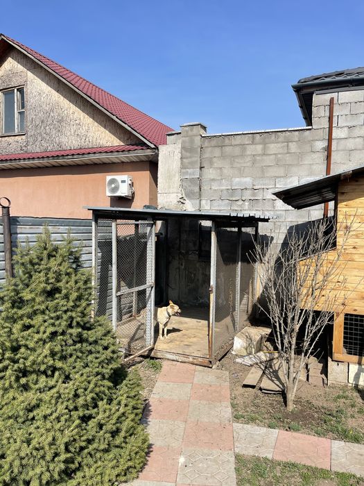 Вальер для собак