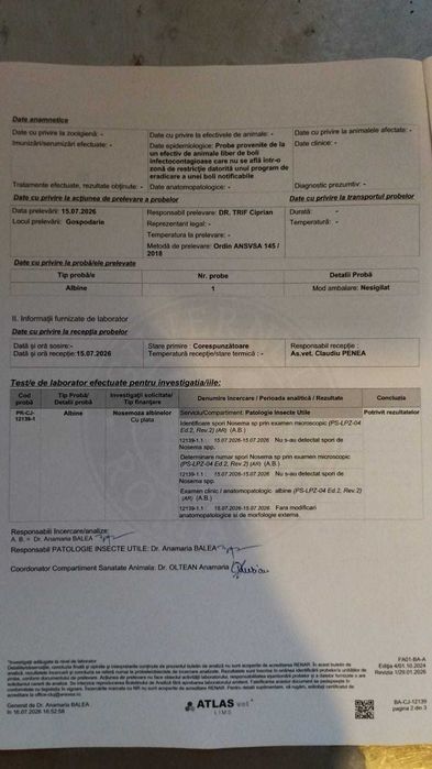 MIERE NATURALĂ de albine, direct de la producator