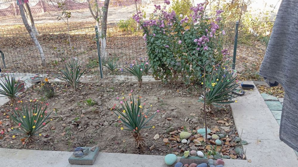 Своя 1/1/2. Татарский поворот