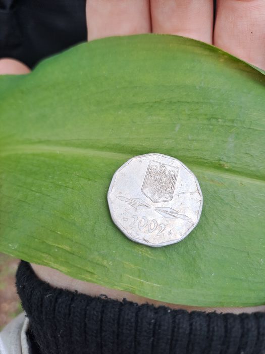 Moneda de 5000 de lei din anul 2002