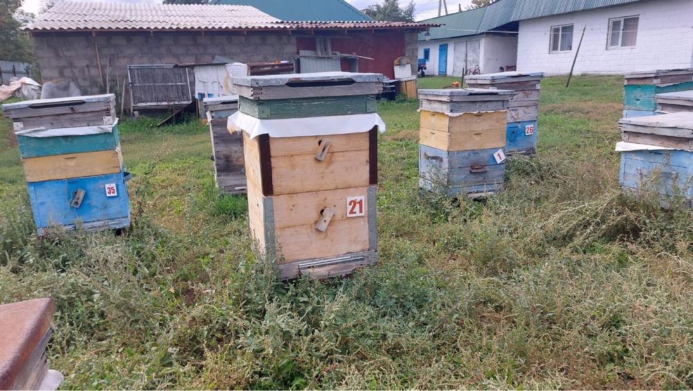 Продам улья в комплекте