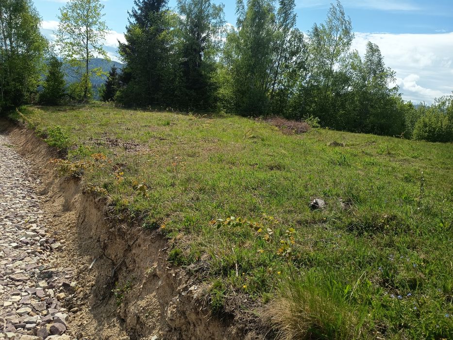 Teren  Comuna Horea-Alba