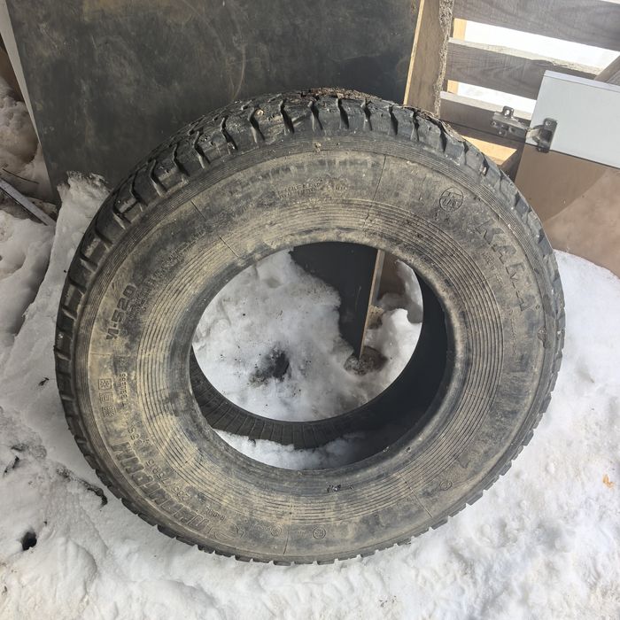 Пподам шипи средный