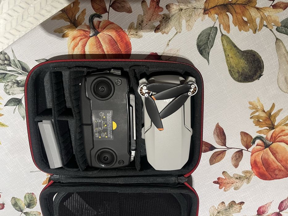 Дрон DJI mini SE