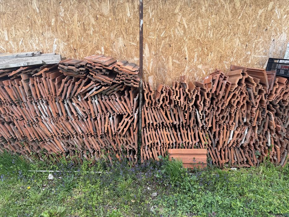 Vând țiglă Muschong