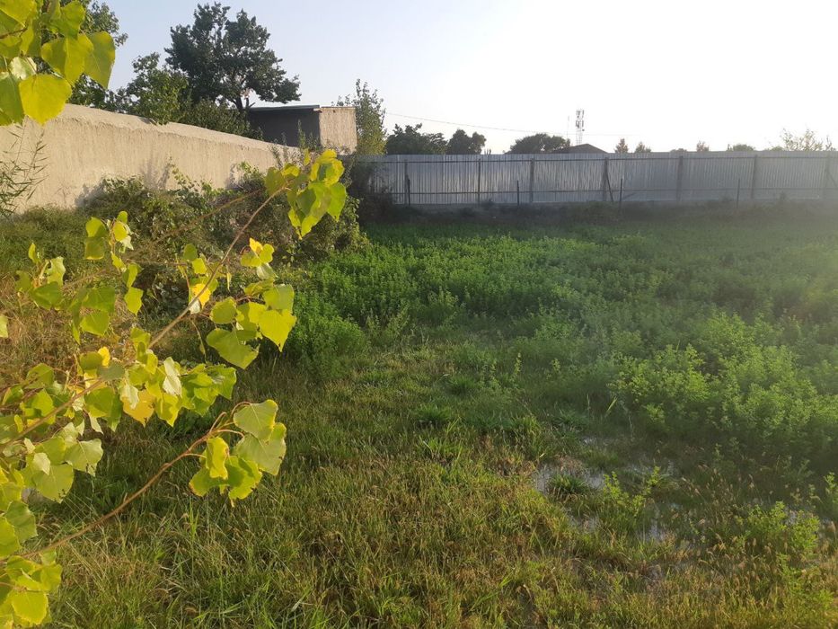 kodastir hujjatlari joyida