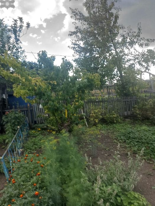 Продается дача Черёмушки