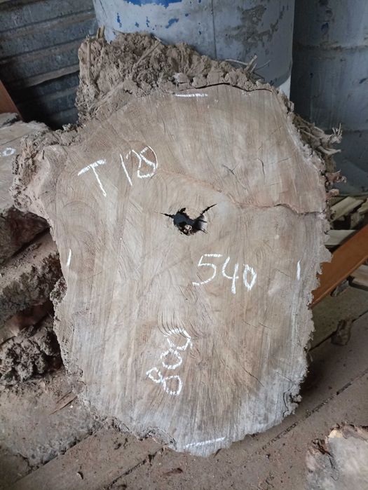 Карагач пиломатериал, торцевые спилы