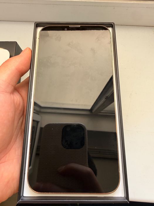 iphone 13 pro max 1tb
