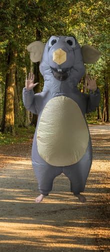 Сдам напрокат костюм крысы!