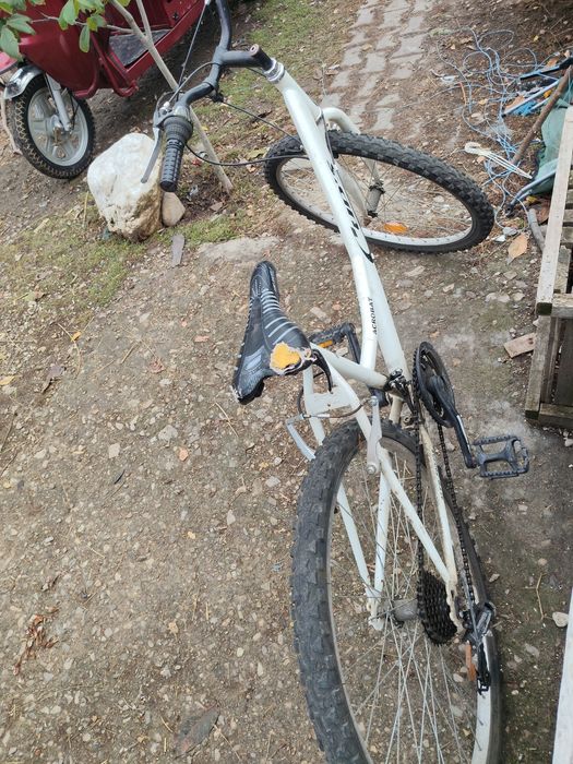 Bicicleta de dama la schimb cu animale , capră,iede,miele.etc