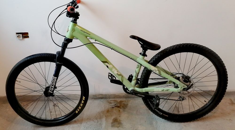 Dirt bergamont Kiez rara