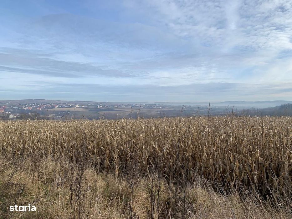 Teren intravilan de vânzare | Cajvana | 7.800 mp
