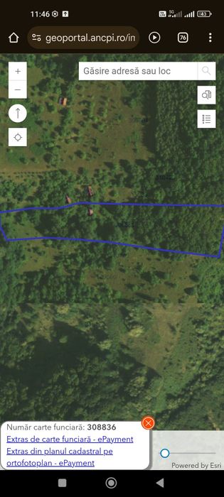 Vand  terenuri împadurite