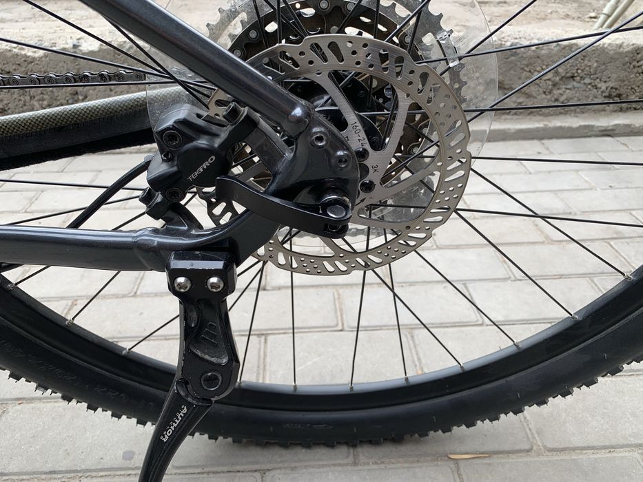 Giant talon 1 29’’ (2024) M