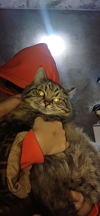 2мальчика 1девочка. Очень тактильные игривые