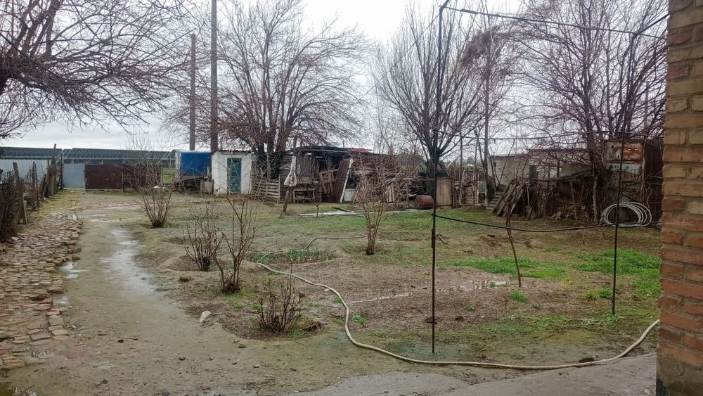 Уй сатылады. Жетысай қаласы