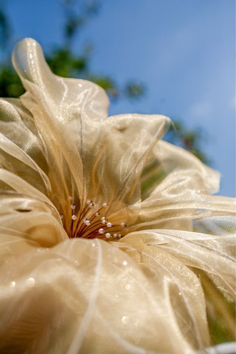 Aranjamente florale/Photocorner/Giant Flowers - Anima Floris