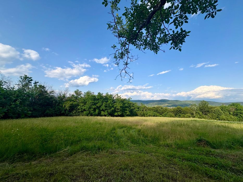 Vând teren intravilan în zona Valea Brazilor