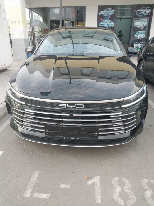 Byd Chazor 1 pozitsiya