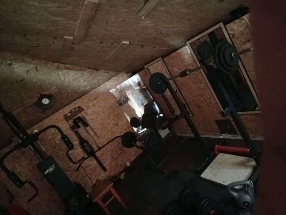 Aparate fitness, gantere