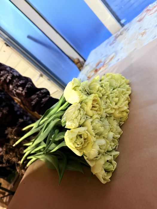 Продам тюльпаны оптом