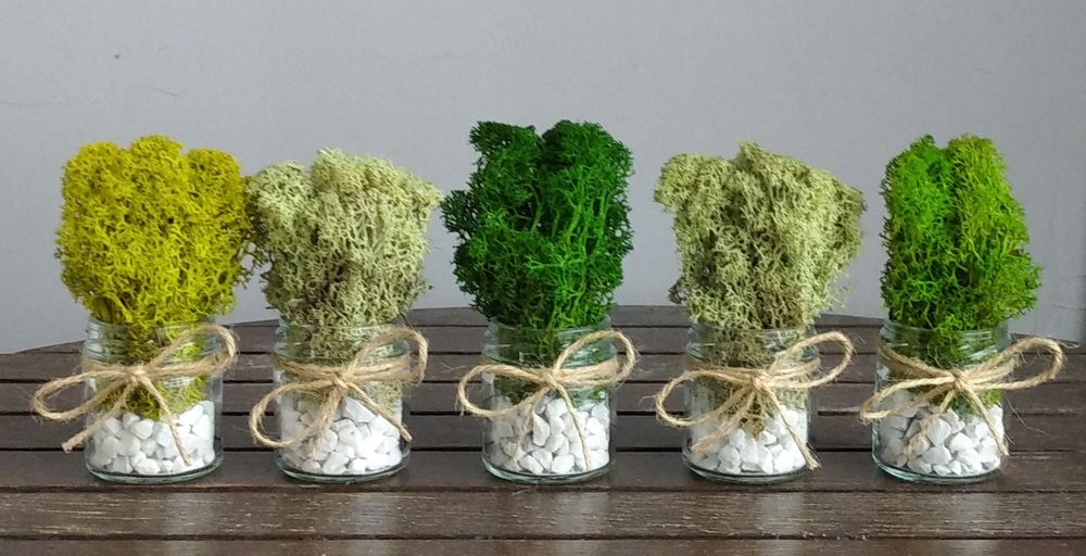 Подаръчета за гости / Декорация за дома