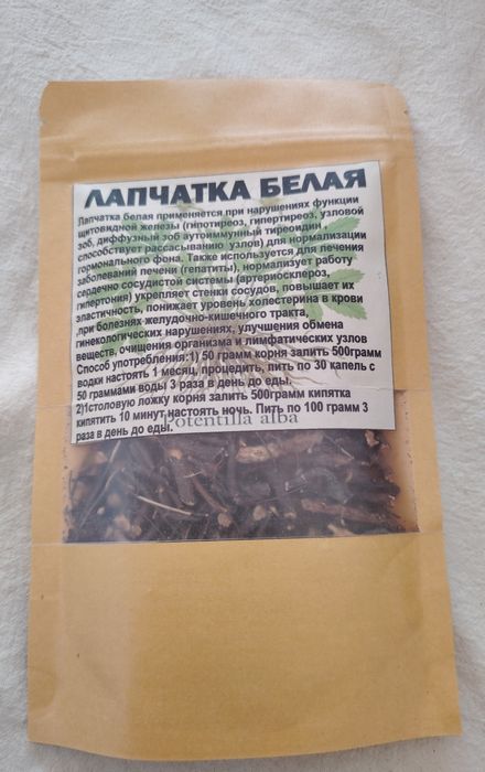 Лапчатка белая корень