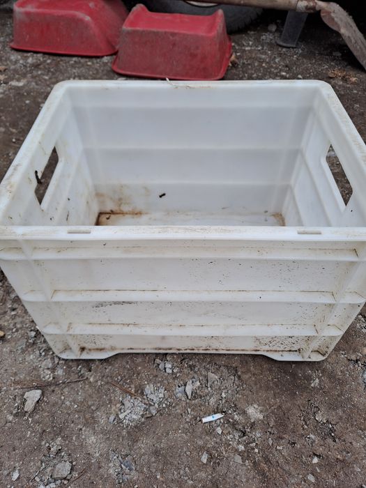 Ящики под молоко рыб и т.д