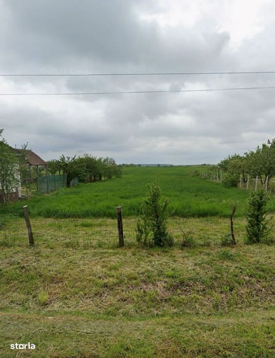 Teren inravilan Săcădat, județul Bihor