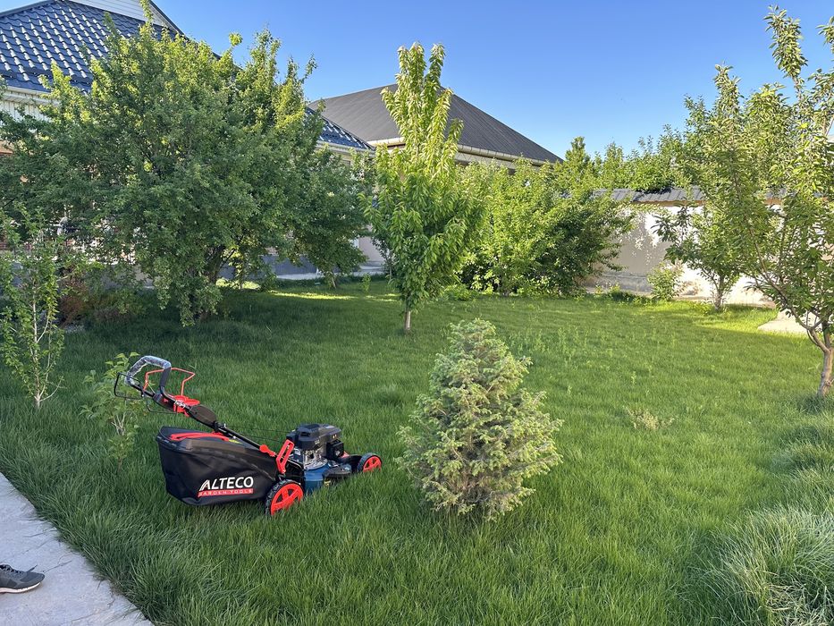 Газон стрижка,стрижка елки, садовник аграном посадка елки