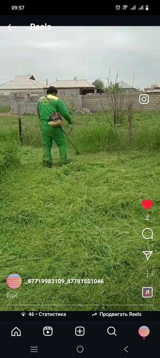 Шоп ору косим траву