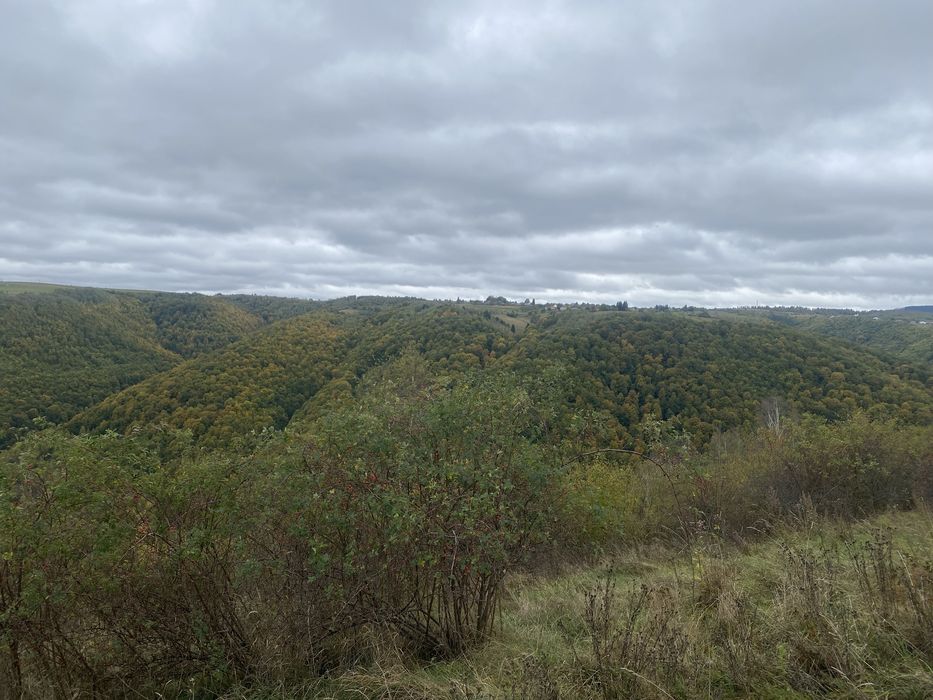 Inchiriez TEREN in zona Marcesti Dangau Rasca, judetul Cluj