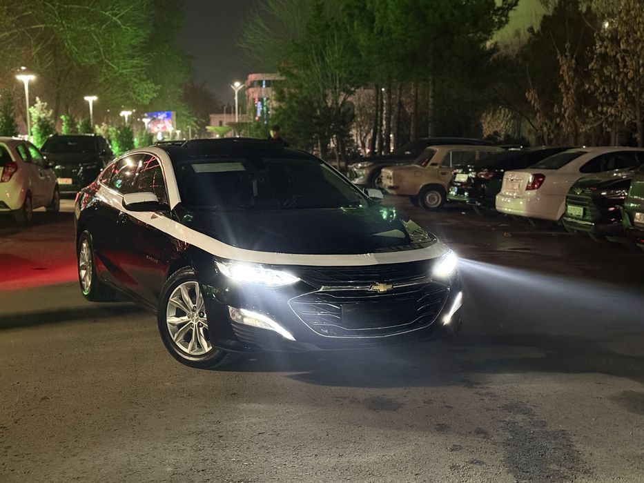 Malibu 2 premer 2022 kraska tozza masla