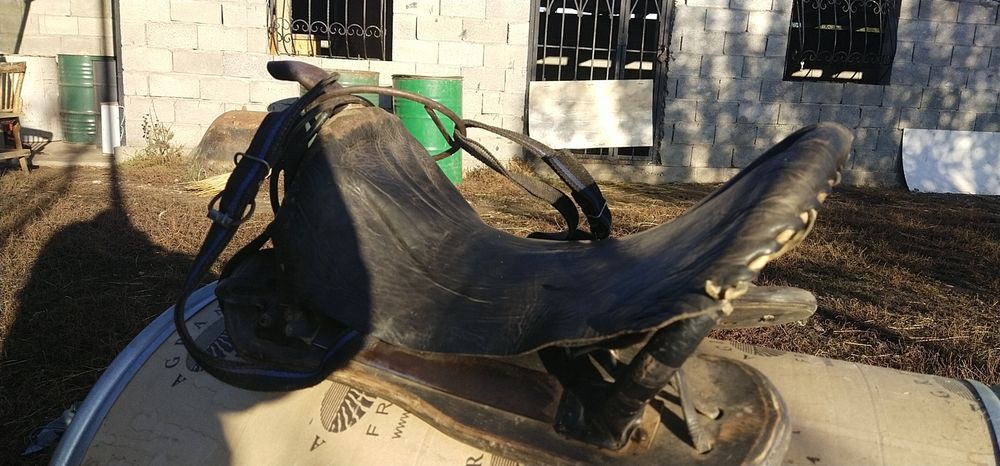 Ер тоқым сатылады