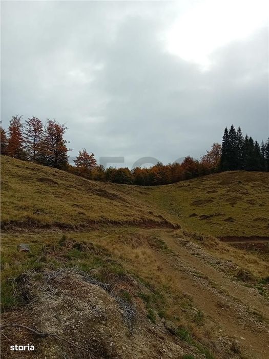 Teren extravilan la Cresuia, Stana de Vale