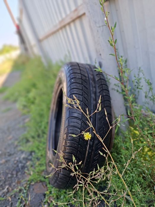 Продам покрышки на 13