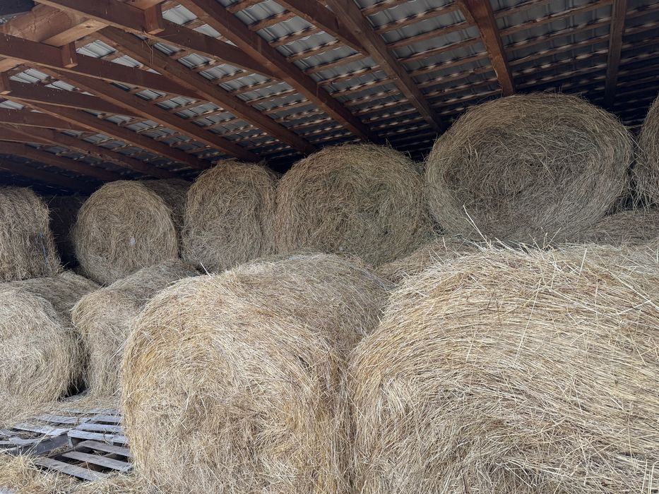 Vand baloti rotunzi de fan 160!!  Pret 250lei