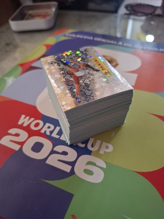 Panini fifa world cup 2026 dubluri