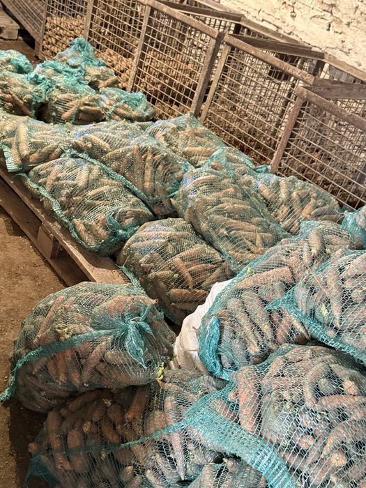 Vand morcovi de consum si de animale